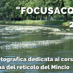 Focus Acque