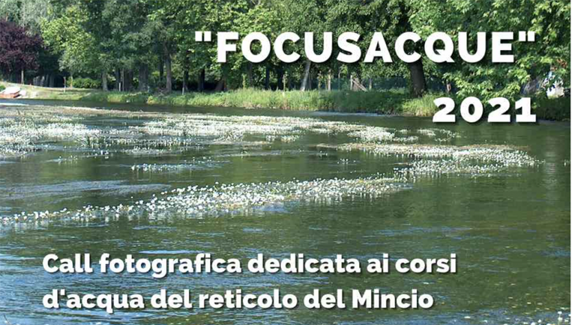 Focus Acque